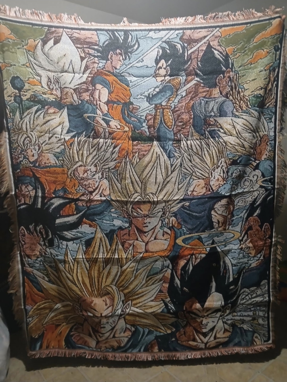 ANIME DBZ THE DUO WALL TAPESTRY OR BLANKET